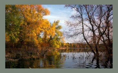 Lake Region Heritage Center