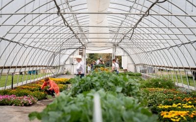 Food Security in North Dakota: Addressing Challenges and Building a Sustainable Future