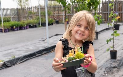 A Beginner’s Guide to Selling at Farmers Markets in North Dakota: Tips and Tricks for Success